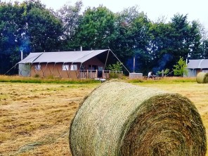 3 Bedroom Buzzard Safari Lodge with Hot Tub near Brompton Ralph, Somerset, England